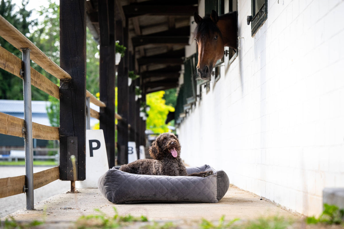 LABONI CLASSIC Hundebett  - OXFORD STONE