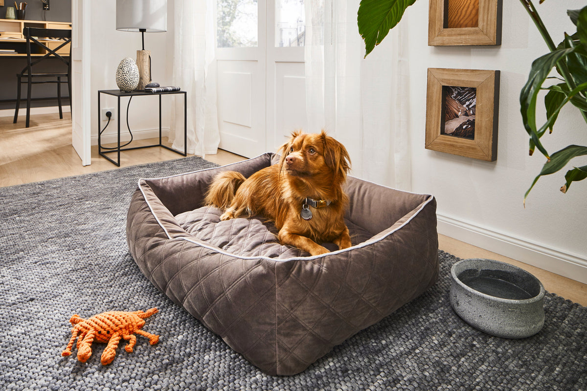 LABONI CLASSIC Hundebett  - OXFORD STONE