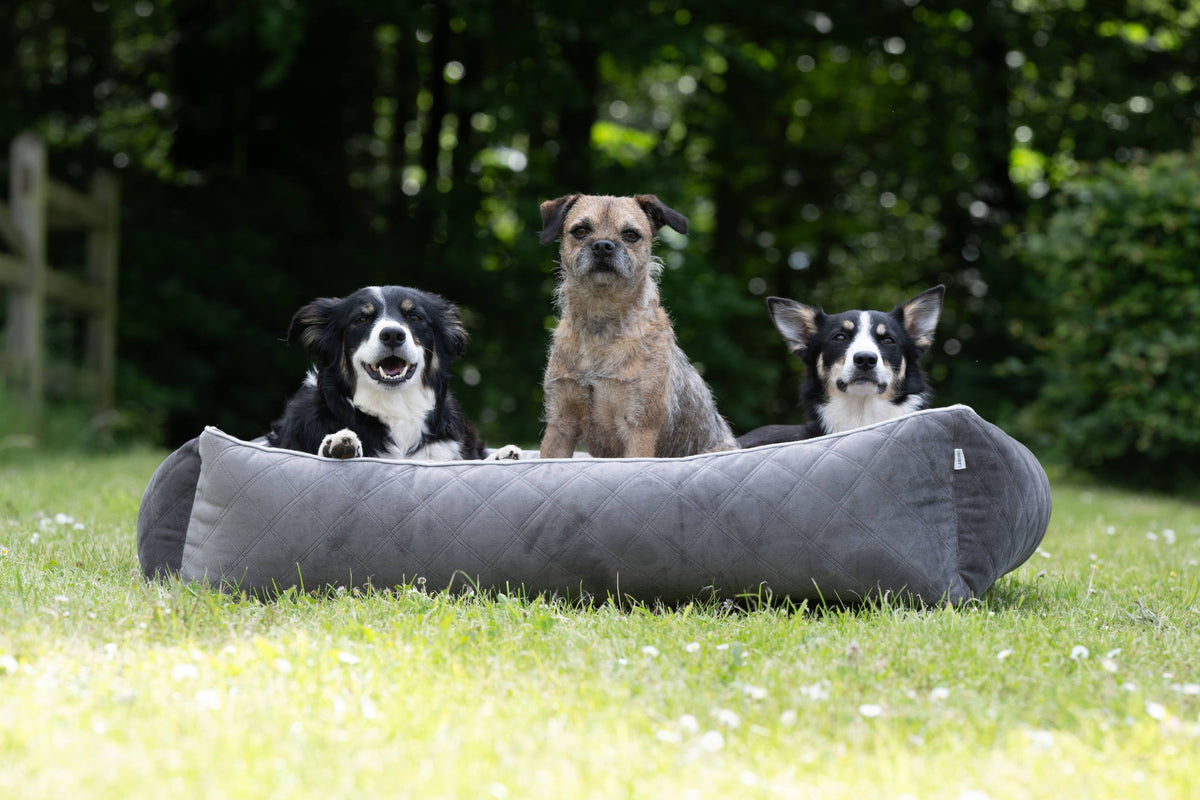 LABONI CLASSIC Hundebett  - OXFORD STONE