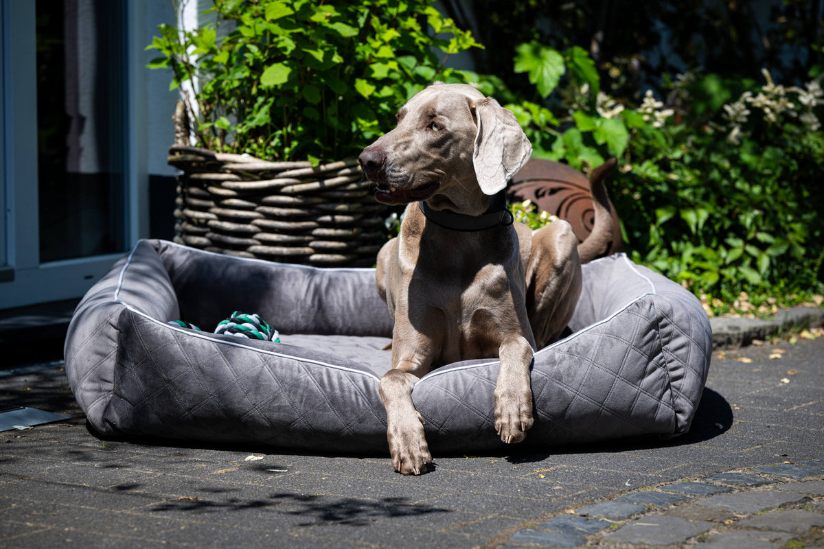 LABONI CLASSIC Hundebett  - OXFORD STONE