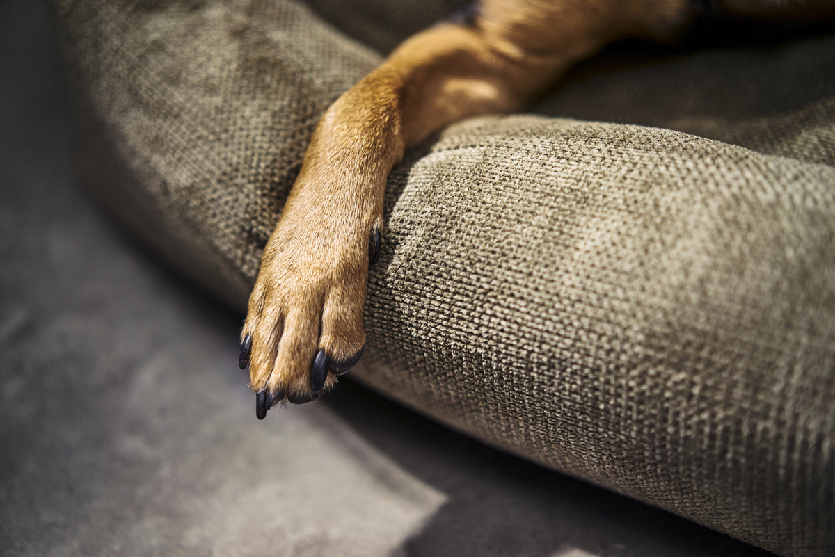 LABONI CLASSIC Hundebett  - TUDOR OLIVE