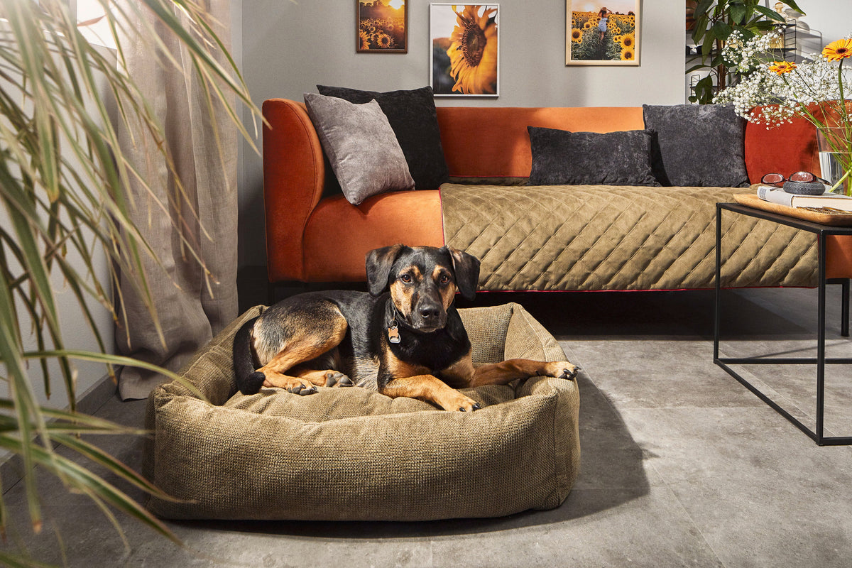 LABONI CLASSIC Hundebett  - TUDOR OLIVE