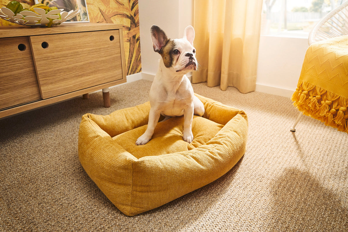 LABONI CLASSIC Hundebett  - TUDOR GOLD