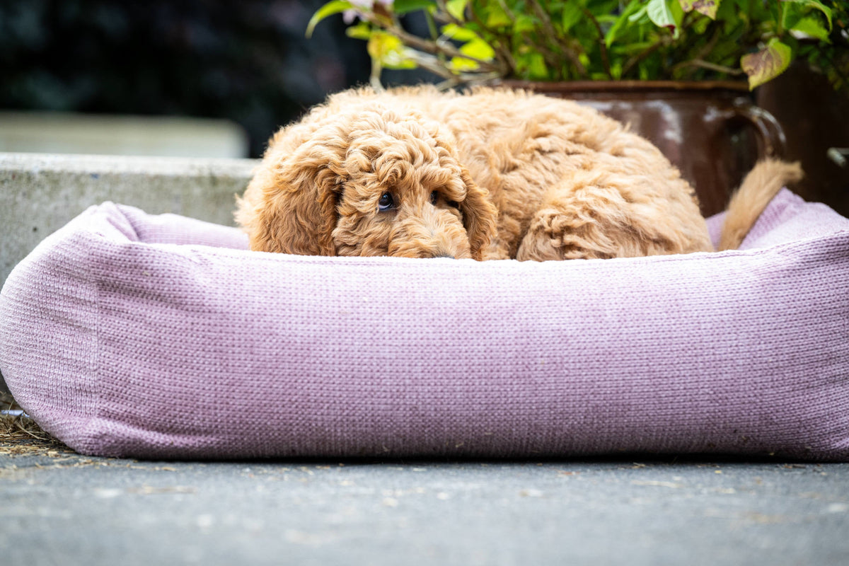 LABONI CLASSIC Hundebett  - TUDOR ROSE