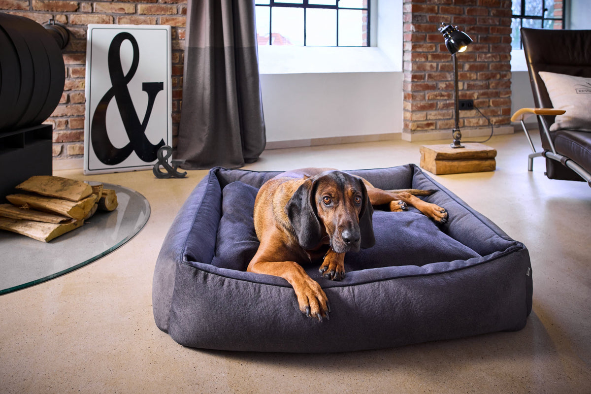 LABONI CLASSIC Hundebett  - BUFFALO GRAPHITE