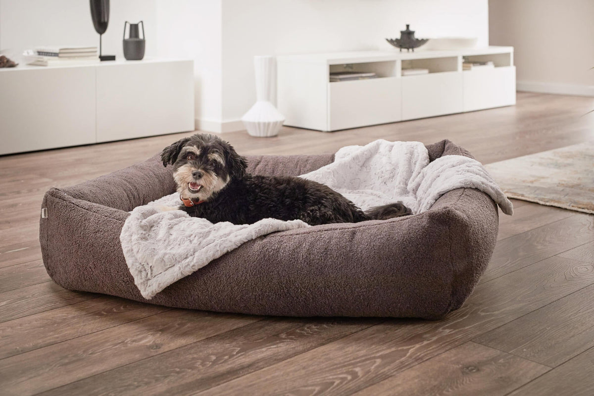 LABONI CLASSIC Hundebett  - TEDDY GREY