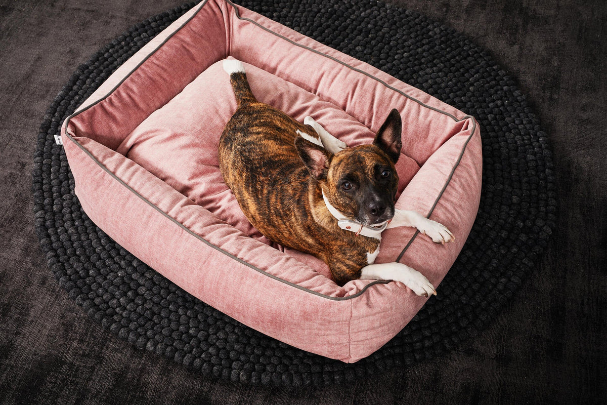 LABONI CLASSIC Hundebett  - GLAM ROSE