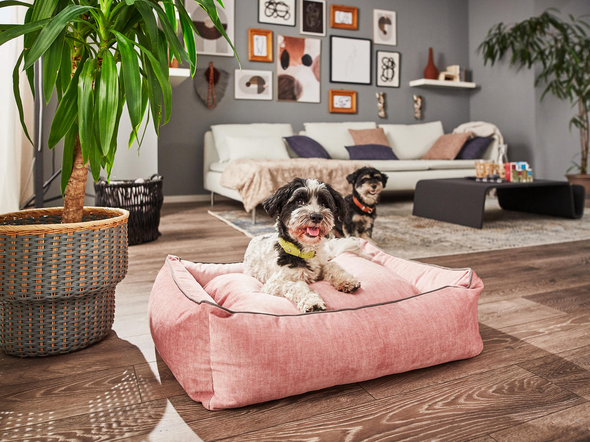 LABONI CLASSIC Hundebett  - GLAM ROSE