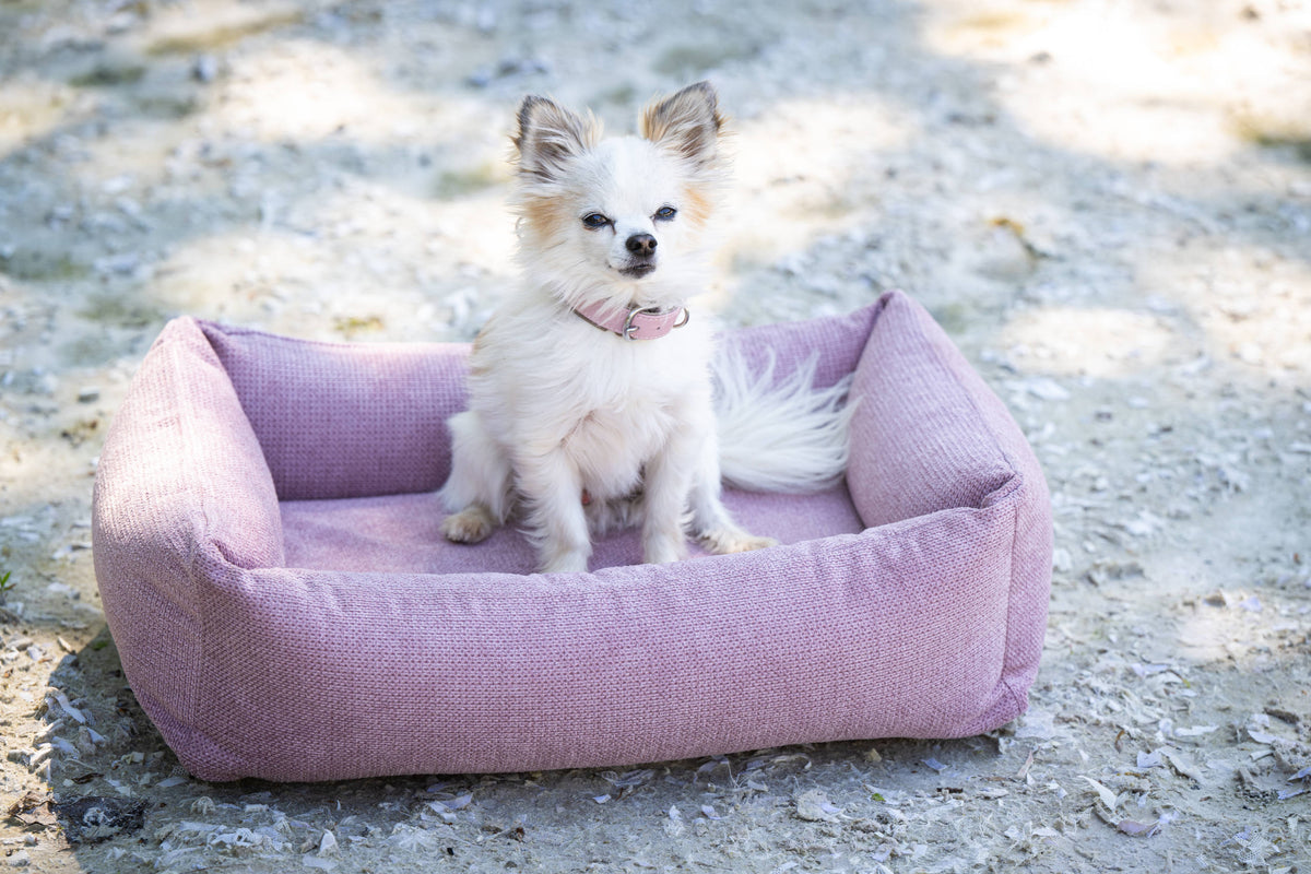 LABONI ORTHO Hundebett  - TUDOR ROSE