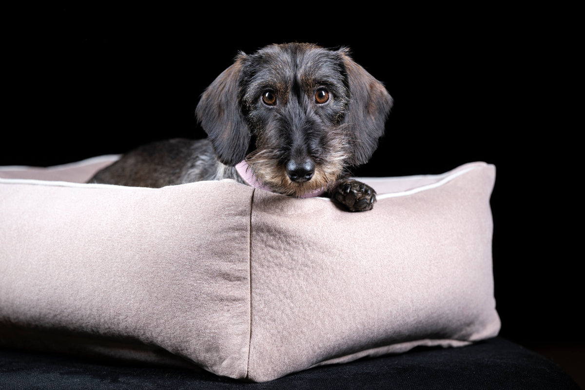 LABONI ORTHO Hundebett  - BUFFALO CREME