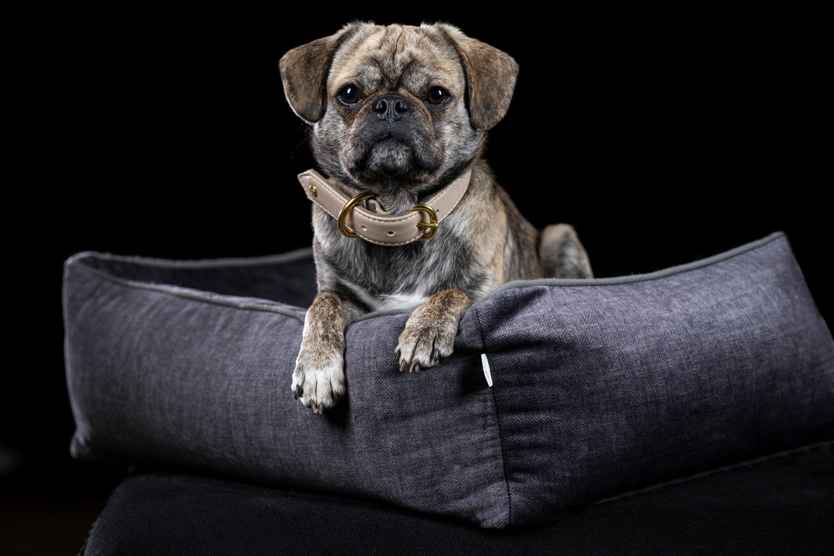 LABONI ORTHO Hundebett  - GLAM GRAPHITE