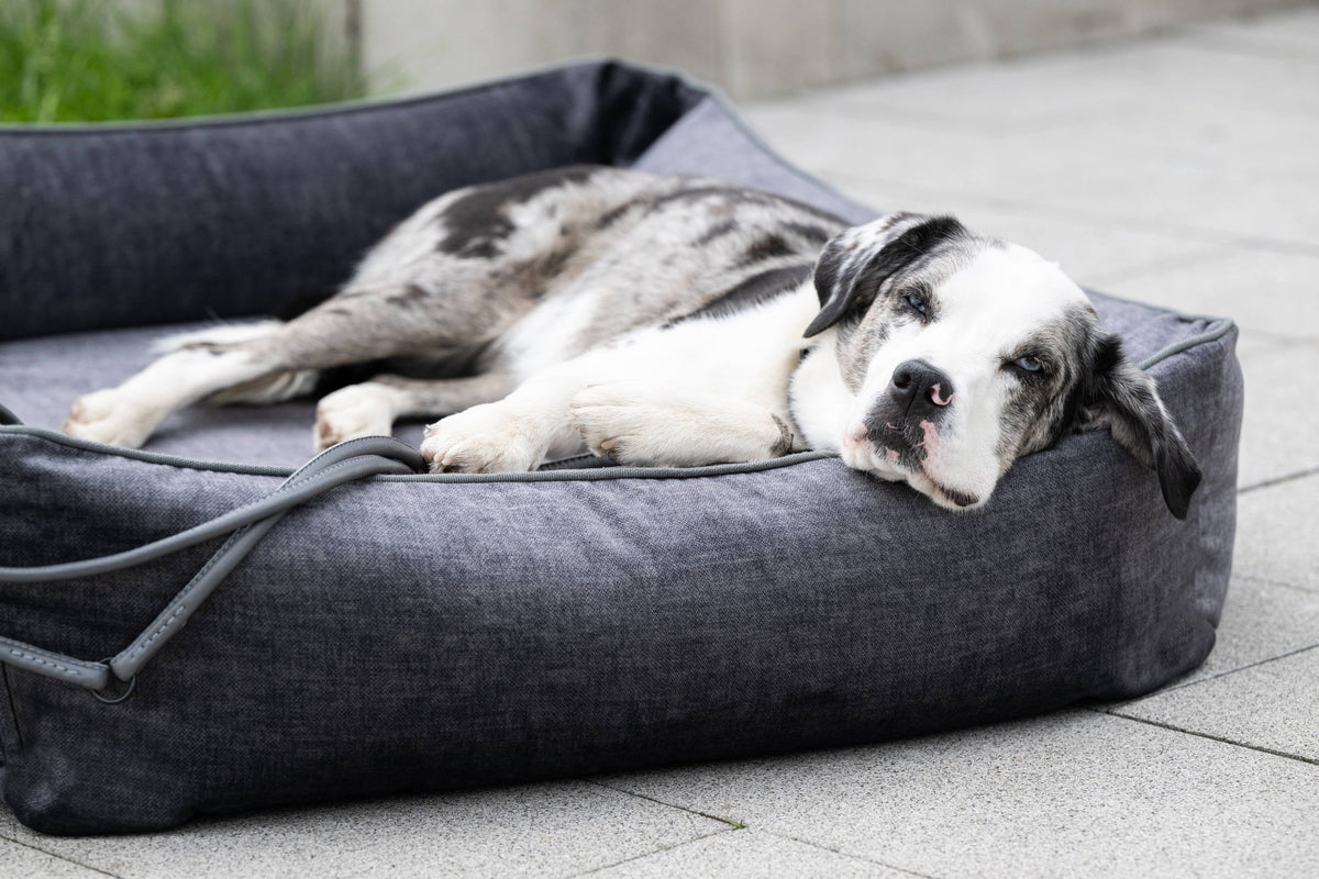 LABONI ORTHO Hundebett  - GLAM GRAPHITE