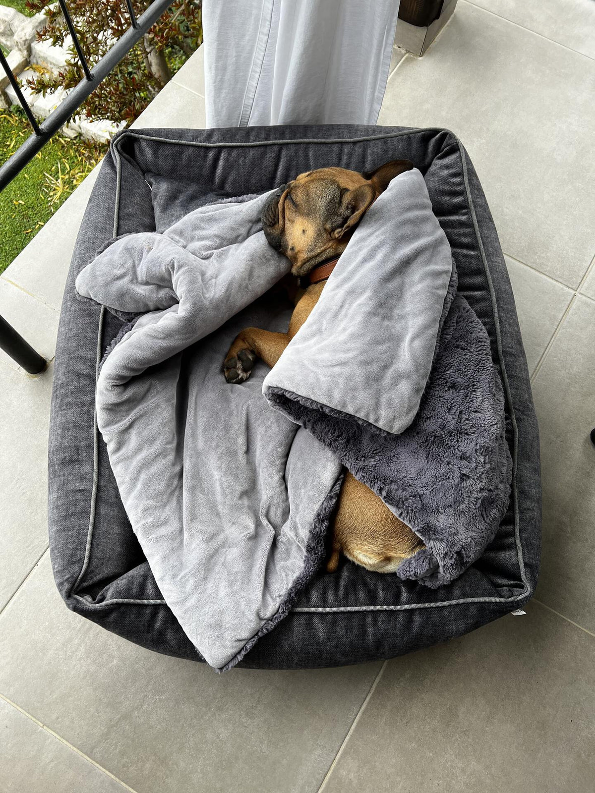 LABONI ORTHO Hundebett  - GLAM GRAPHITE