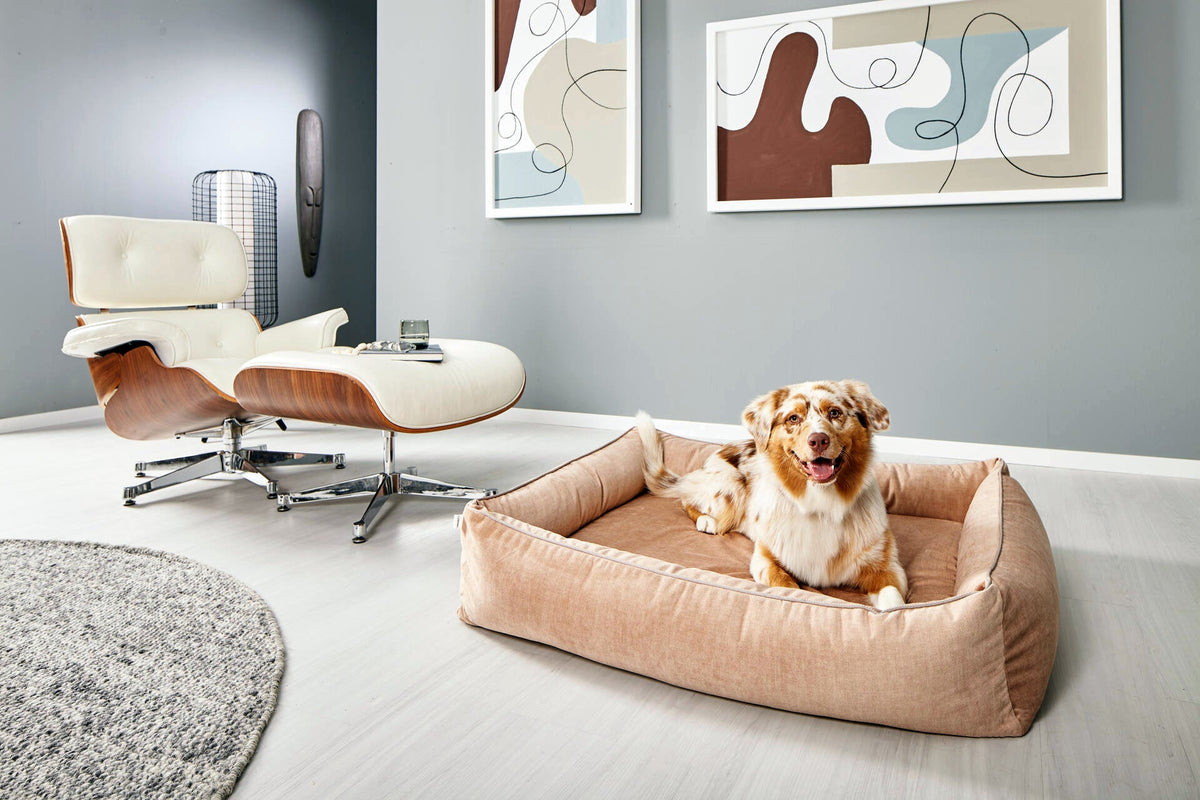 LABONI ORTHO Hundebett  - GLAM SAND