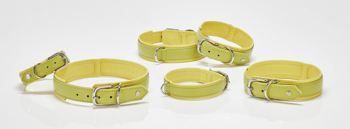 AMICI Lemon - Stilvolles Nappa-Halsband