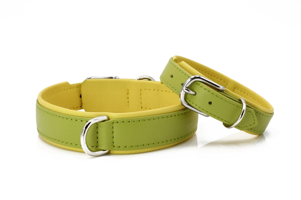 AMICI Lemon - Stilvolles Nappa-Halsband