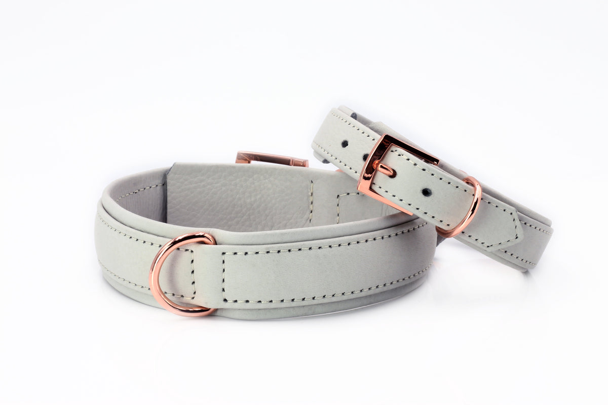 AMICI Light Grey - Stylishe Halsband-Leinen-Kombination