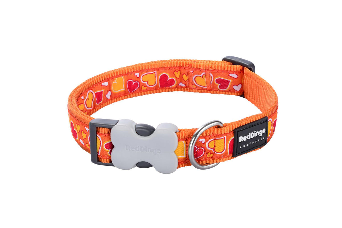 Hundehalsband Design Orange L