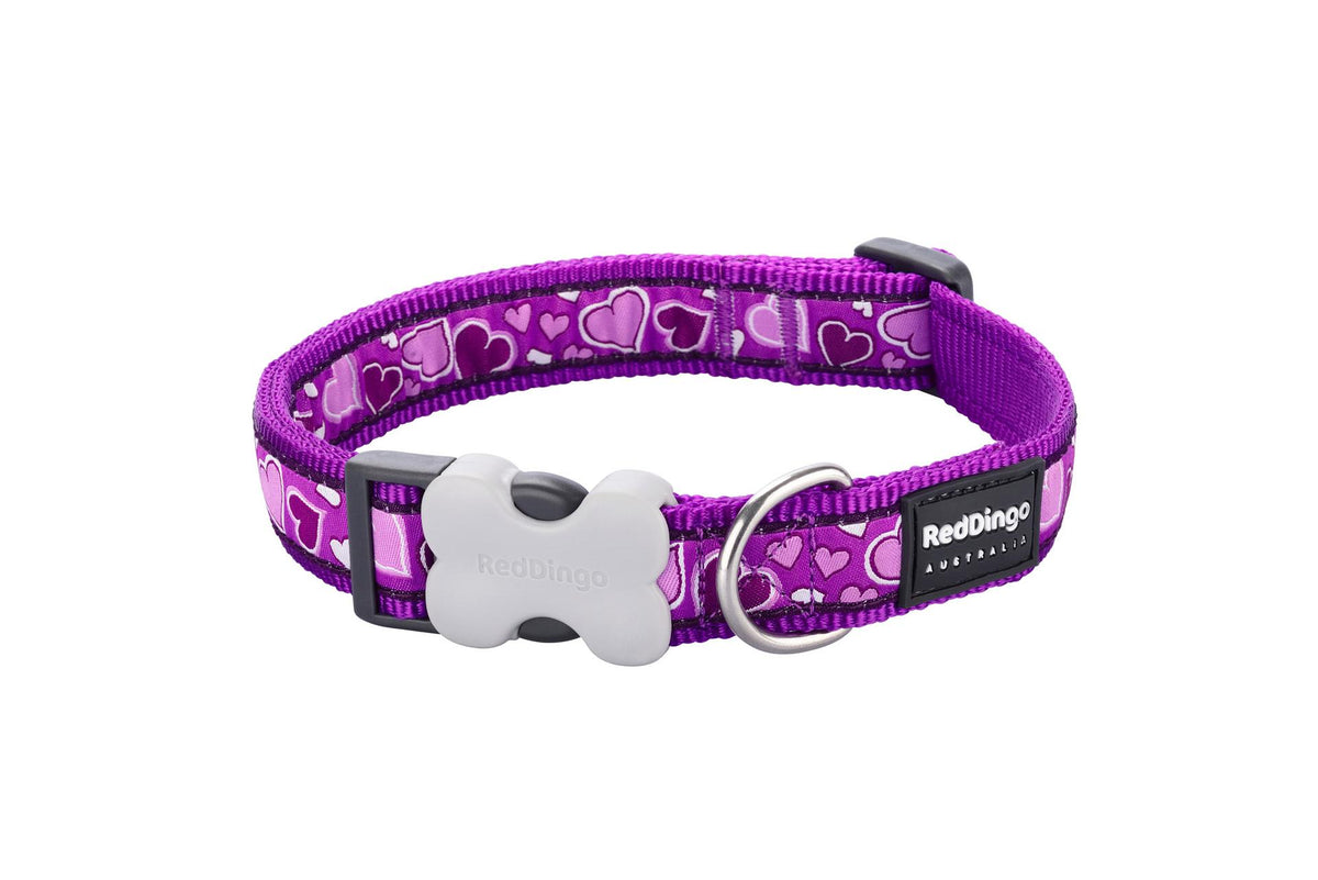 Hundehalsband Design Violett GS