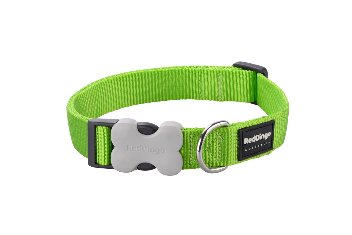 Hundehalsband Plain Lime Grün S