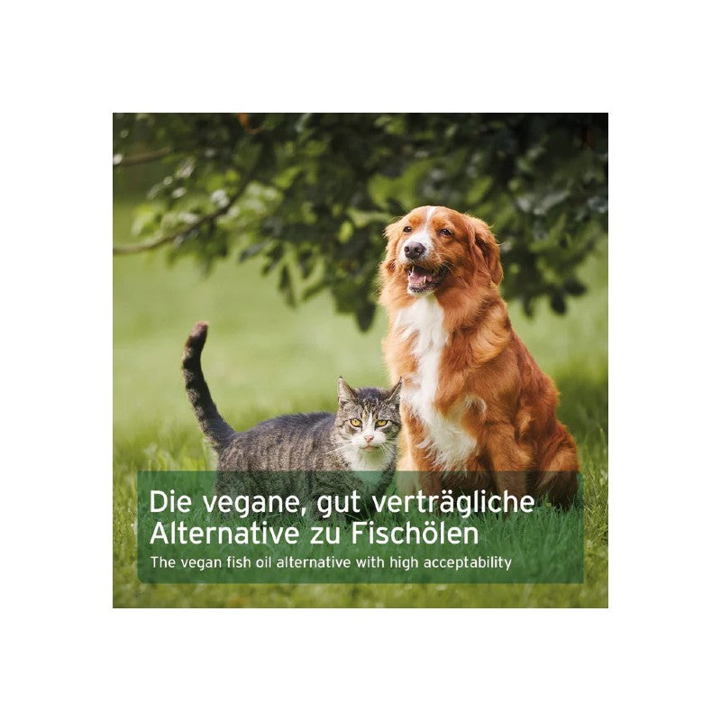 Olio di alghe AniForte