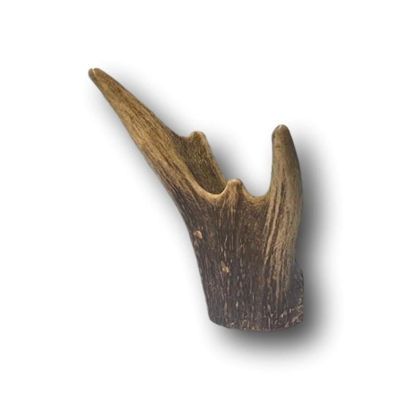 AniForte Hirschgeweih