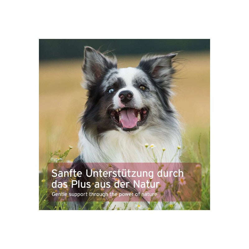 AniForte Hormon Balance