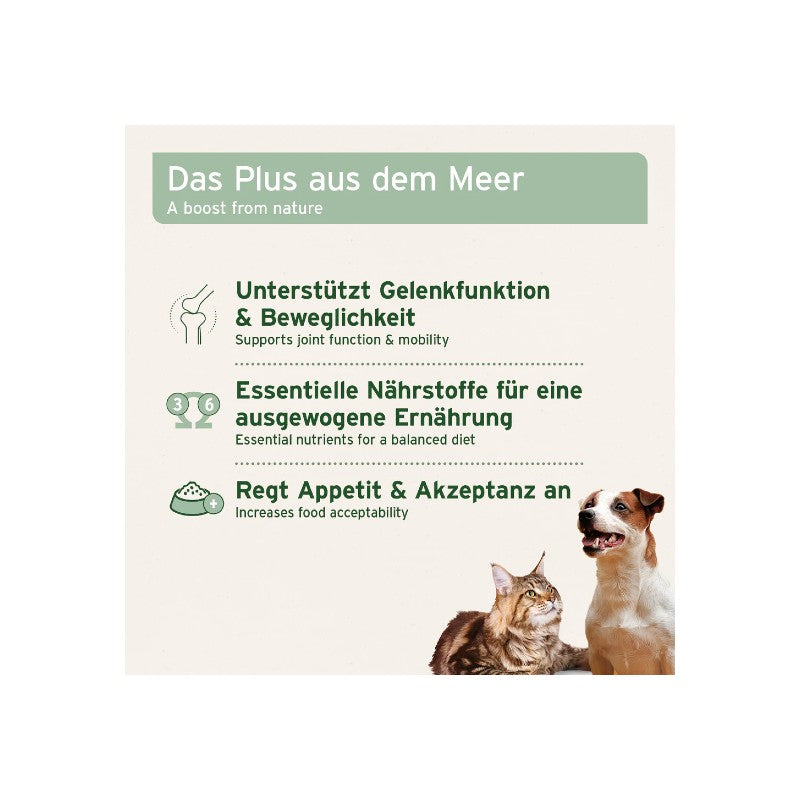 AniForte Muschelkraft