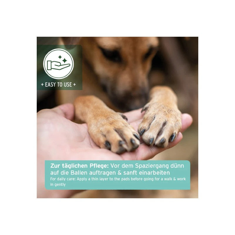 AniForte Pfotenschutz Balsam