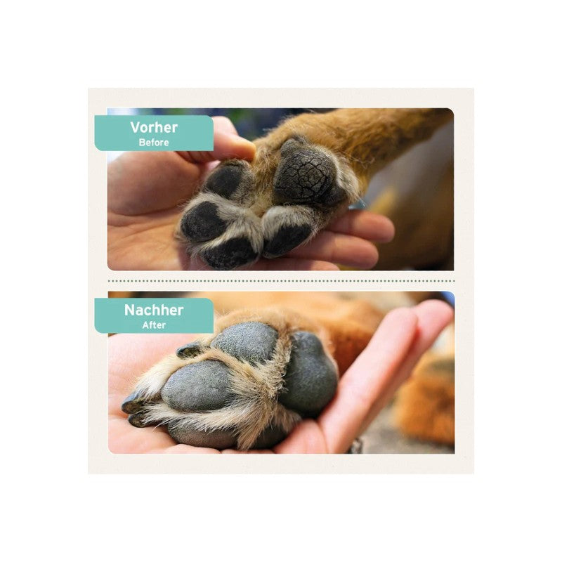 AniForte Pfotenschutz Balsam