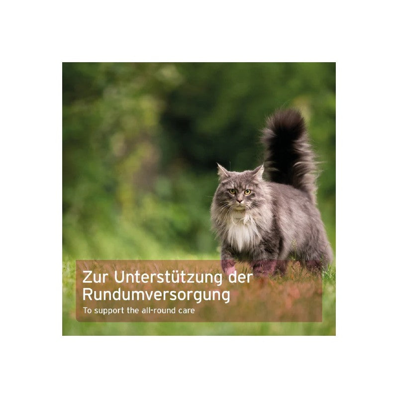 AniForte 4in1 completo per gatti