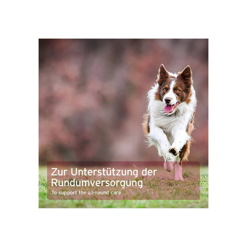 AniForte 4in1 Completo Cane