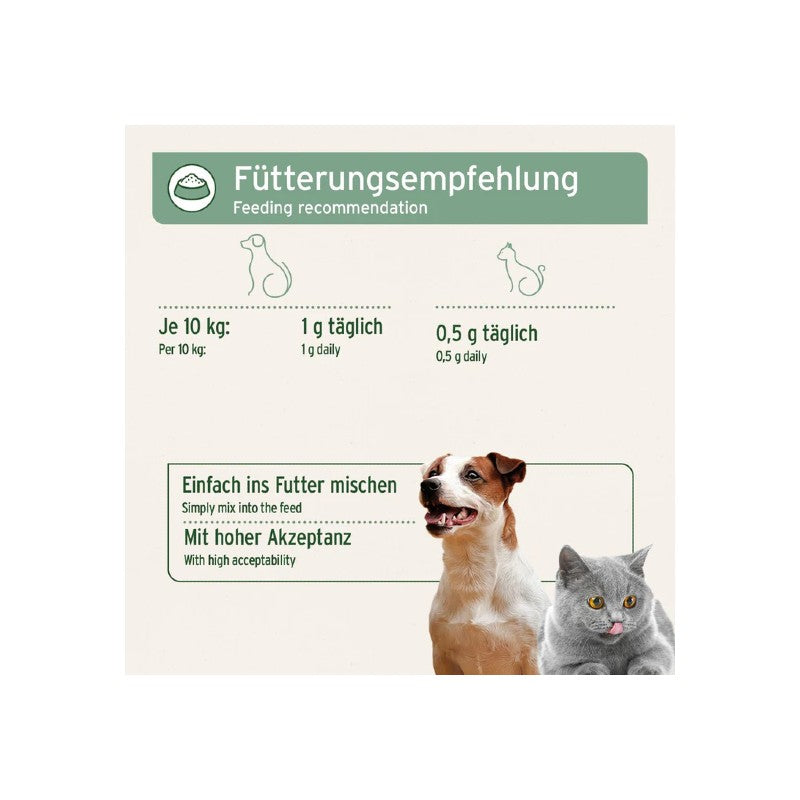 AniForte Afrikanische Teufelskralle