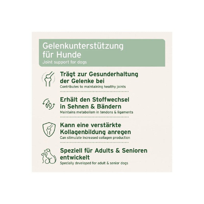 AniForte AgilityVET Gelenk-Hund-Tabletten