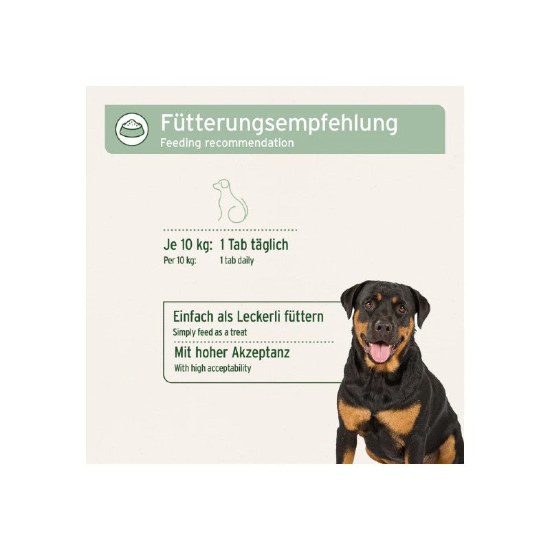 AniForte AgilityVET Gelenk-Hund-Tabletten