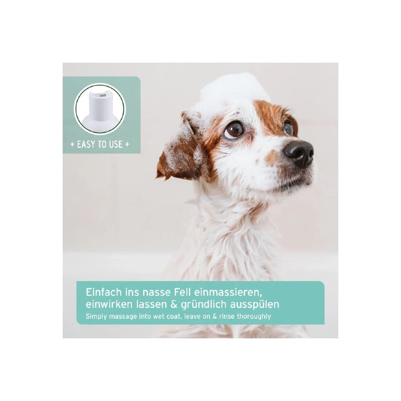 AniForte Aloe Vera Shampoo für Welpen