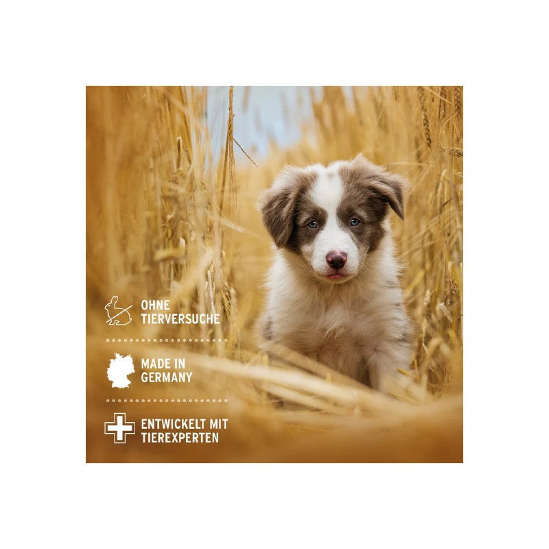 AniForte Aloe Vera Shampoo für Welpen