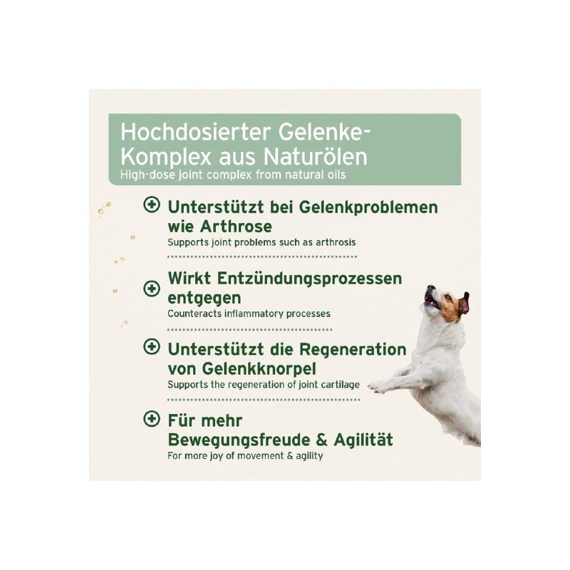 Olio AniForte Arthro Omega