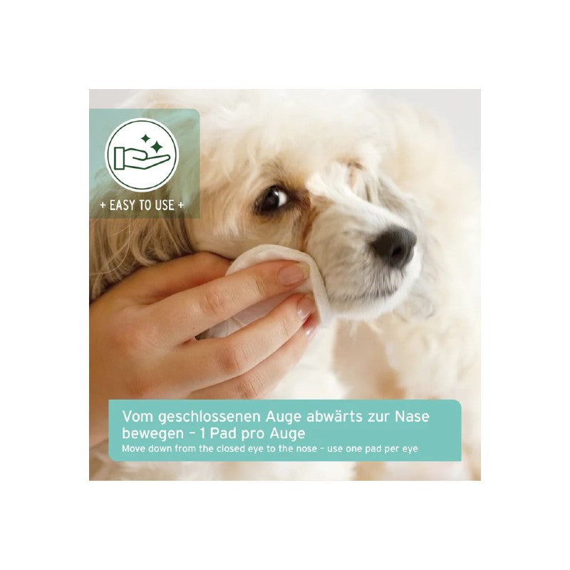 AniForte Augen Reinigungspads