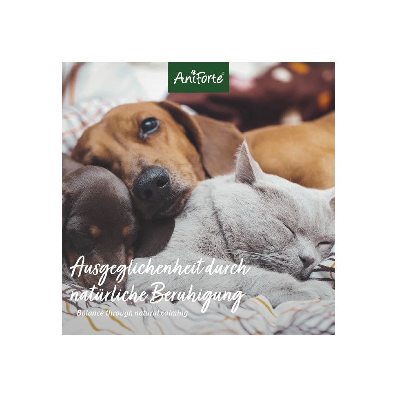 AniForte Fiori di Bach Cherry Plum