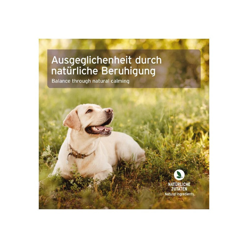 AniForte Bachblüten Protest