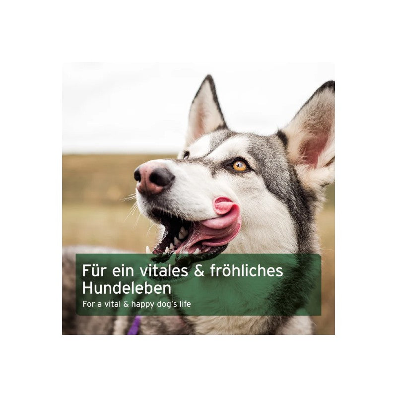 AniForte Barf Completo