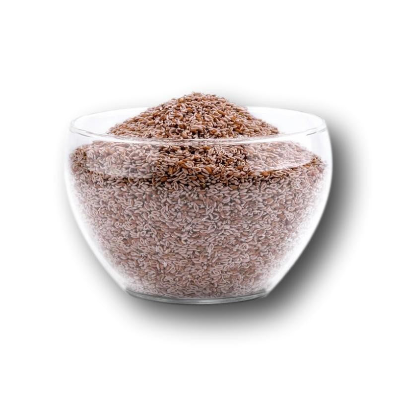 Psyllium indien AniForte