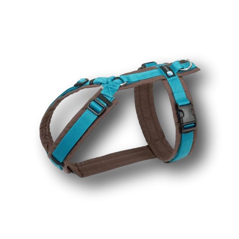 Anny-X Brustgeschirr Fun Braun/Petrol