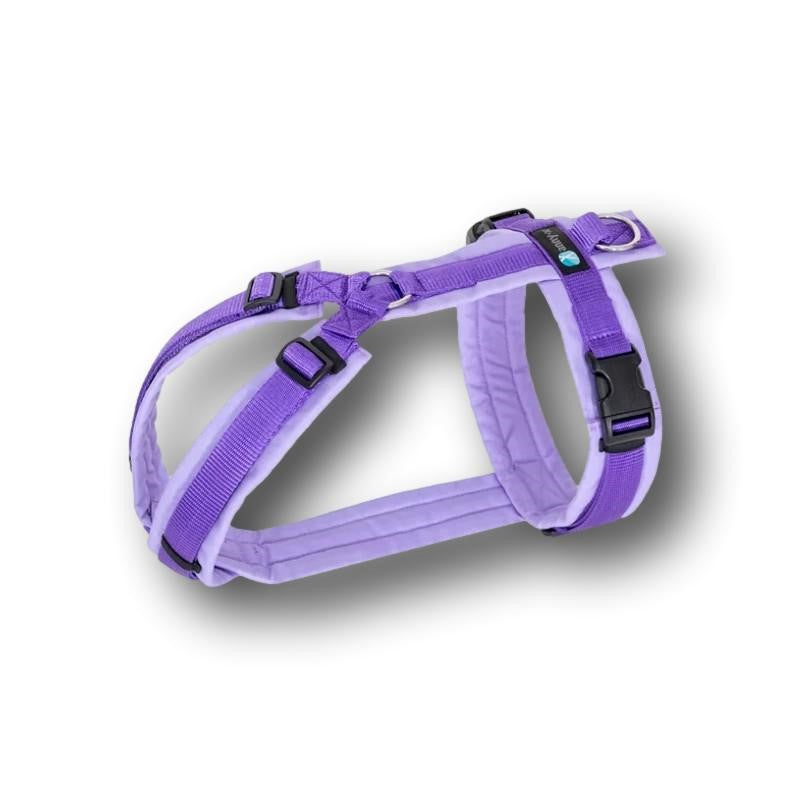 Anny-X Brustgeschirr Fun & Protect - Lavendel
