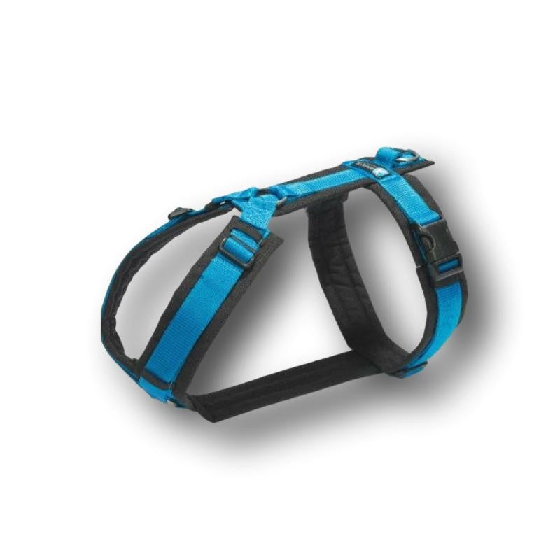 Anny-X Brustgeschirr Fun & Protect - Schwarz/Blau