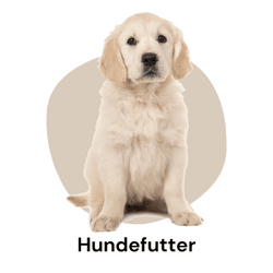 Hundefutter