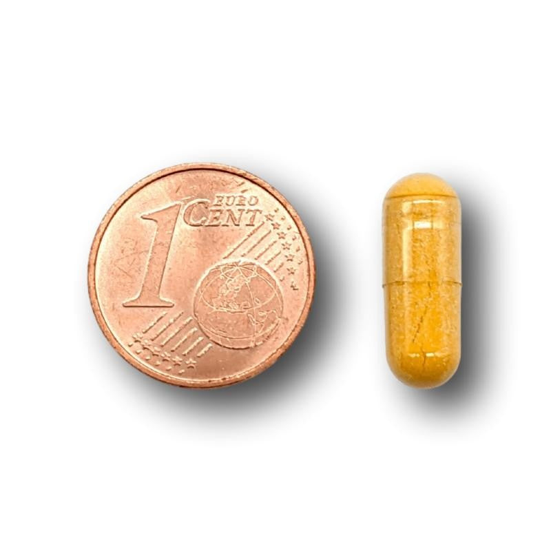 Pahema Vitamin B Komplex Kapseln