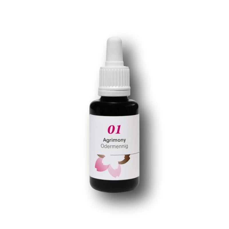 Phytodor Nr. 01 - Agrimony / Odermennig