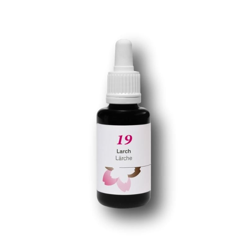 Phytodor Nr. 19 - Larch / Lärche
